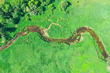 Fototapeta premium Aerial landscape of winding small river, stream in green field, top view meadow.