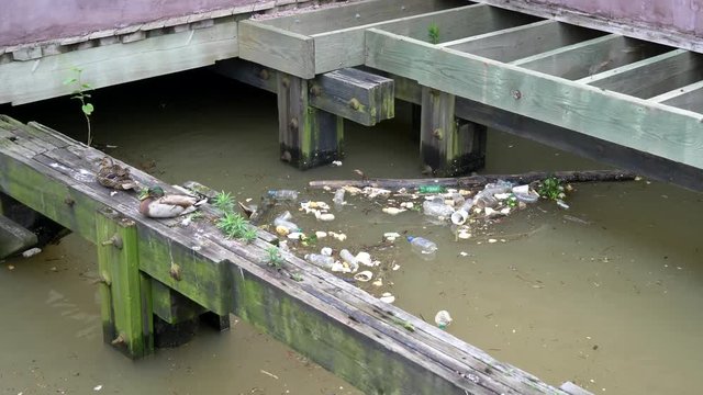 Garbage at Mississippi shore causing pollution to environment. New Orleans USA. Flat plane. High angle shot