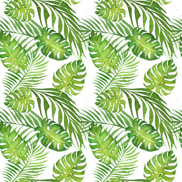 hand drawn watercolor floral tropical seamless pattern with green monstera leaves and palm tree leaves on white  background