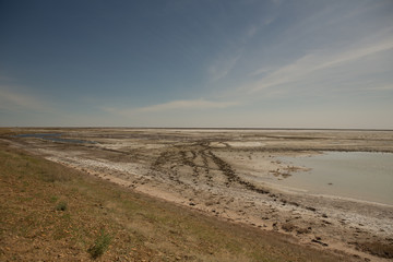 Fototapeta na wymiar The dried-up Aral sea in summer, the water crisis on the planet and the concept of climate change