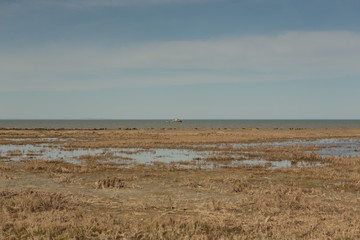 Fototapeta na wymiar Grassy marshes in front of the Aral sea ,fishing vessel on the horizon