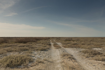 Consequences of Aral sea catastrophe. Sandy salt desert on the place of former bottom of Aral sea.