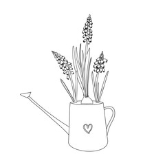 Watering can with Muscari flower hand drawn doodle ink sketch isolated on white background, floral hyacinth line art for package, medicine, florist shop, cosmetic design, wedding invite, greeting card