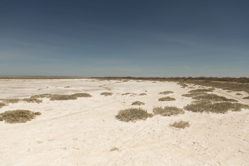 Consequences of the Aral sea disaster.Steppe and sand on the site of the former bottom of the Aral sea.Kazakhstan