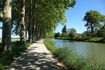 canal du midi à l'ombre