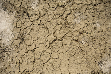 Consequences of Aral sea catastrophe. Sandy salt desert on the place of former bottom of Aral sea.