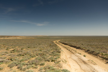Consequences of the Aral sea disaster.Steppe and sand on the site of the former bottom of the Aral...