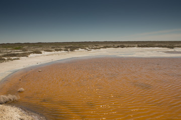 Aral sea.Part of the dried-up Aral sea,salt marshes and industrial water near the city of Aralsk.Kazakhstan