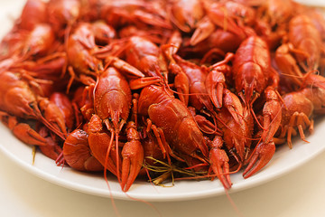 boiled crayfish on a plate