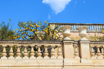 Fototapeta na wymiar Lemon tree on historical terrace on Piazza Duomo Square in Syracuse, Sicily, Italy. The main historical square is located on famous Ortigia Island. Popular tourist attraction