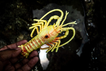 Garbage problem in the sea