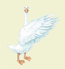 Goose duckling duck Drake paw beak white red birds