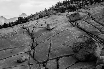 Tioga Pass Road,California, Lee Vining,Yosemite-Nationalpark,mountains,tree,pine, stones,valley,Landschaftsaufnahme,Schwarz/Weiss