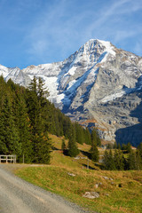 Fototapeta premium Impressive view from hiking trail of Monch mountain near Wengen alpine village in Switzerland.