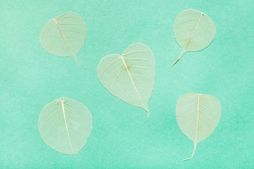 yellow dried leaves on aquamarine green paper