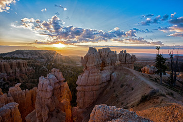 Hoodoos Bryce Canyon Nationalpark