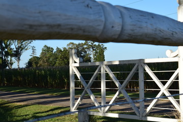 Entrada al campo