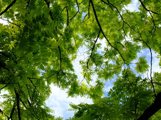 Périgord, Dordogne et préhistoire