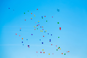 Many colorful balloons flying in the sky. Birthday, celebration, festival, wedding, childhood, hope and anniversary concept