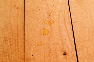 Large drops of spruce resin on freshly sawn boards