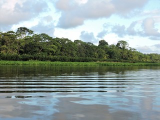 Tortuguero Ufer Landschaften