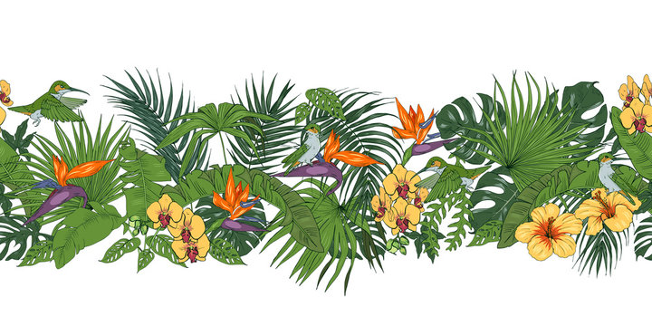 Hummingbirds and tropical plants,  seamless vector pattern