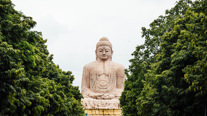 Daibutsu, The Great Buddha Statue in meditation pose or Dhyana Mudra seated on a lotus in open air with trees in foreground near Mahabodhi Temple at Bodh Gaya, Bihar, India