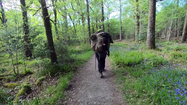 Overloaded male hiker walking at the forest along Loch Lomond West Hiland Way Track, long distance hike - Scotland, UK