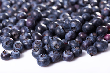 Blueberry or bilberry isolated on white background cutout