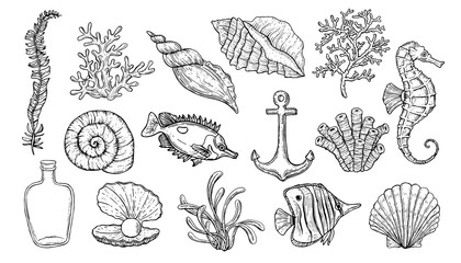 Sea shell, seaweed, anchor, seahorse, and fish. Hand drawn underwater creatures. - obrazy, fototapety, plakaty