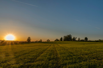 Obraz premium Yellow sunset on green grass field near Roprachtice village