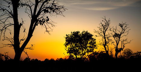 Fototapeta na wymiar Sunset in India