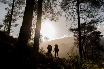 Couple of tourists trekking in forest in Goynuk canyon