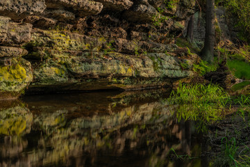 River Kamenice in color nice sunny spring evening
