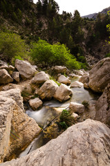 Cerrada de la Magdalena, Parque Natural Sierra de Castril  (Granada)