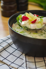 Traditional easter slav cold soup Okroshka