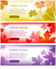 set of banners for the website with autumn leaves of red, yellow and purple colors
