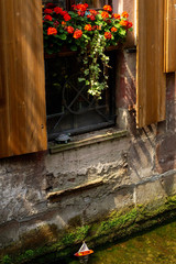 Fenster Bach Freiburg Schildkr&ouml;te Kunst