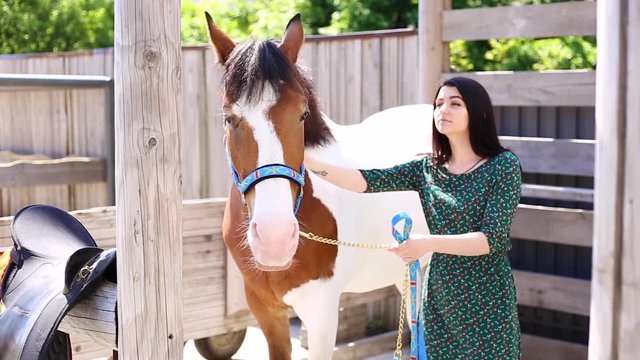 Smiling girl in dress stands by the horse