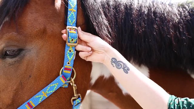Girl corrects the stirrups. close up shot