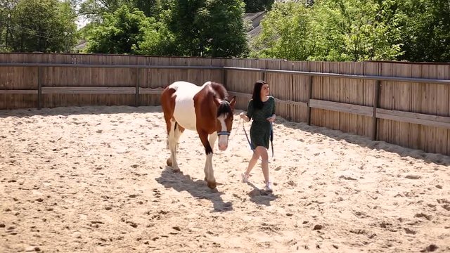 beautiful girl in a dress strolling with a horse