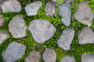 Texture of a fragment of vintage pavement with green grass