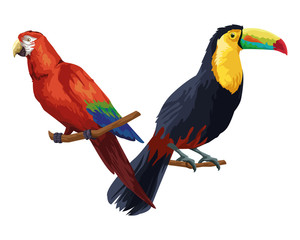 beautiful wild birds icon cartoon