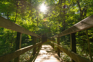 Sun lit wooden walkway
