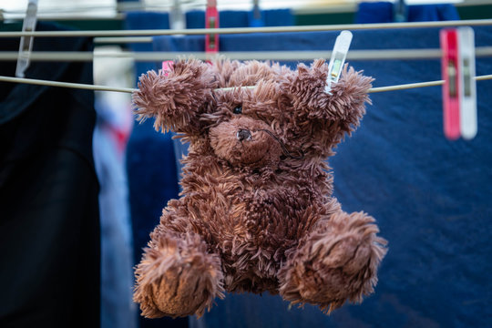 Teddy Bear hanging on clothes line.