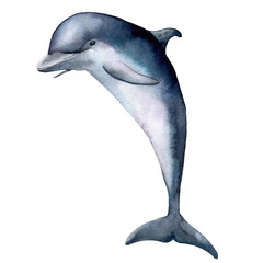 Watercolor dolphin. Underwater animal illustration isolated on white background. For design, prints or background.
