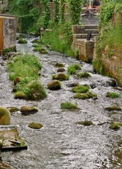 Fluss in Buckow