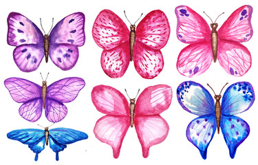 Watercolor colorful butterflies, isolated on white background. blue, pink and violet butterfly spring illustration.