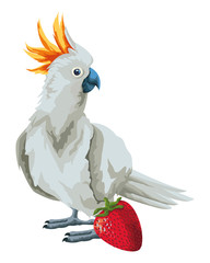 parrot wild cockatoo icon cartoon © Jemastock
