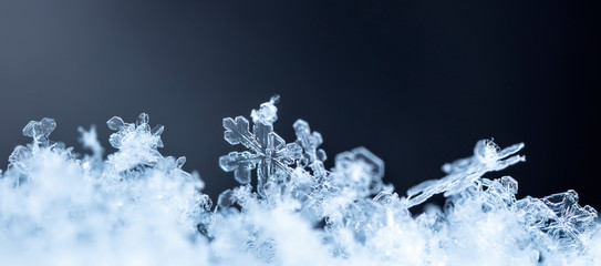 snowflake in the snow, winter